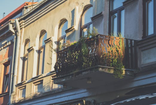 An urban garden on a balcony