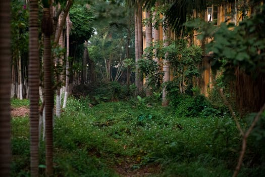 urban garden initiative