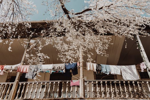 urban gardening on a balcony