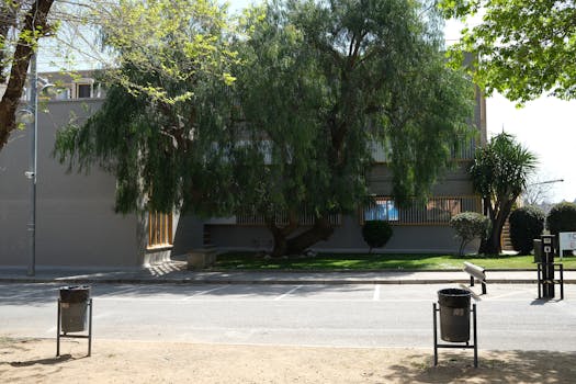 serene park with trees and benches