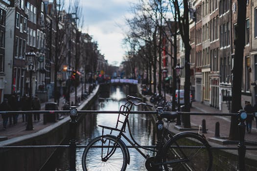 biking in the city