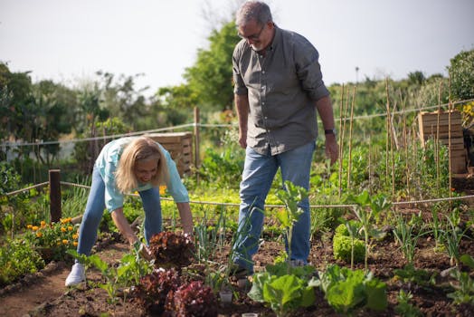 community garden with families planting