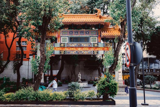 A vibrant community garden in an urban setting