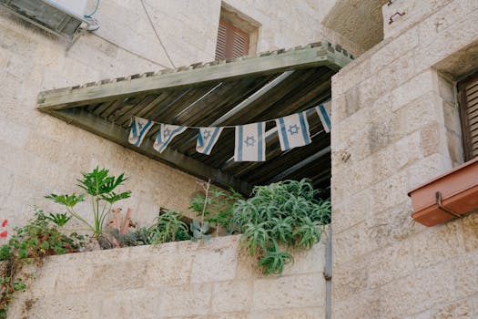 urban garden with pots of plants on a balcony