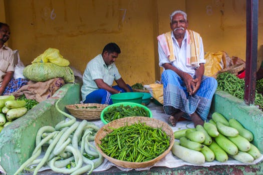 colorful farmers market stalls