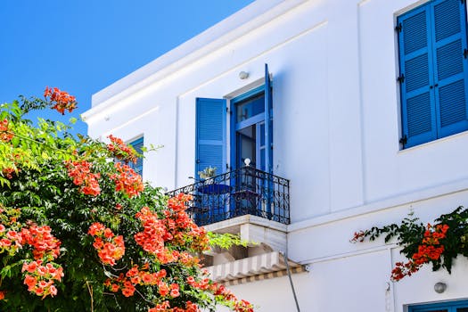 lush urban garden on a balcony