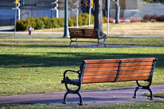 peaceful park with trees and benches