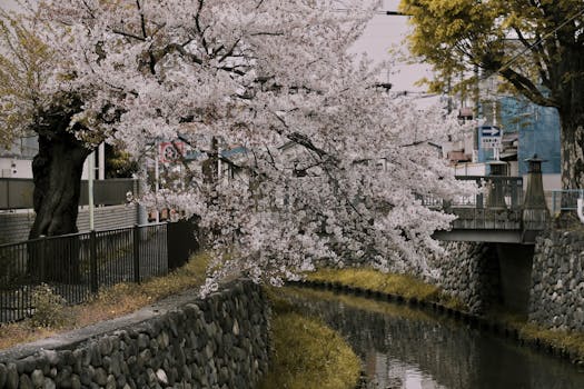 a peaceful park in the city