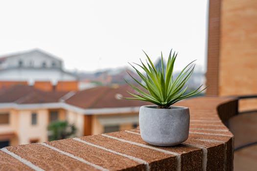 urban garden in a small balcony