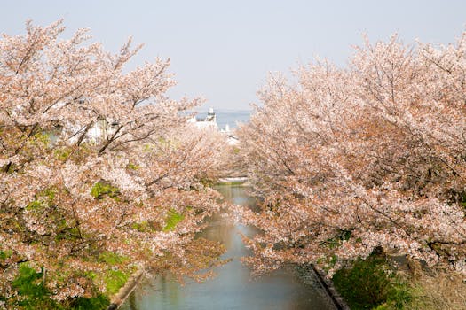 serene park in the city