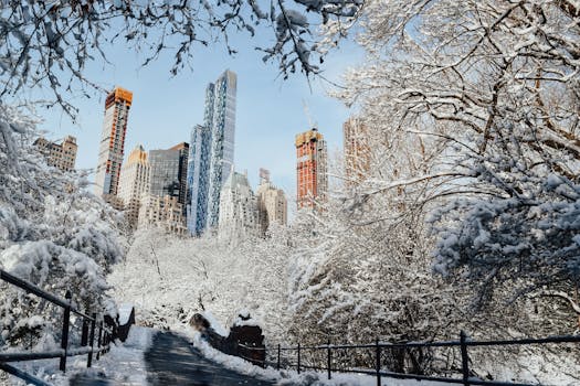 serene park surrounded by skyscrapers