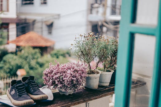 a small urban garden on a balcony