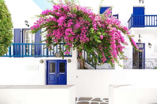 lush urban garden on a balcony