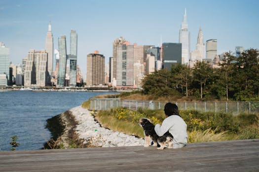 a scenic view of a park in the city