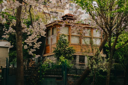 urban garden with flowers