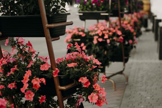 urban garden with pots and flowers