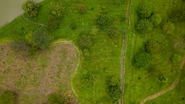 tranquil park with accessible paths