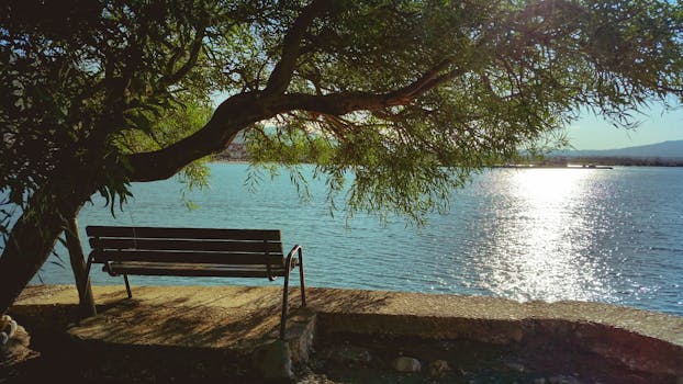 tranquil park with a bench