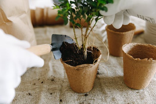 urban gardening