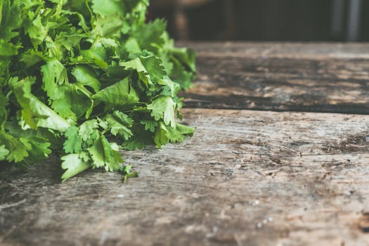 urban garden with herbs and vegetables