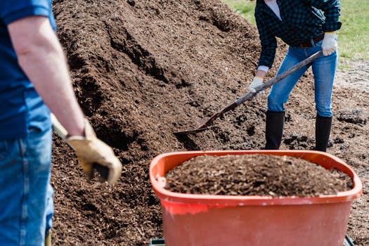 community gardening