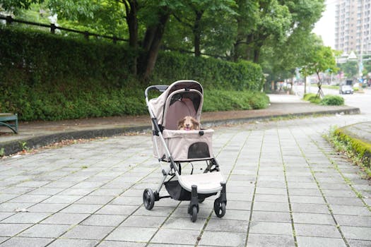 tranquil park with greenery