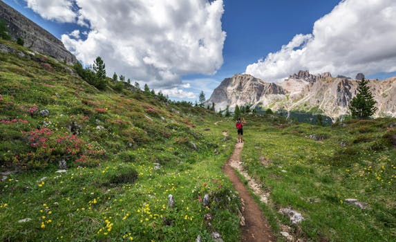 peaceful walking path