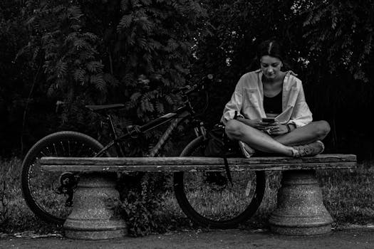 a peaceful park bench surrounded by trees