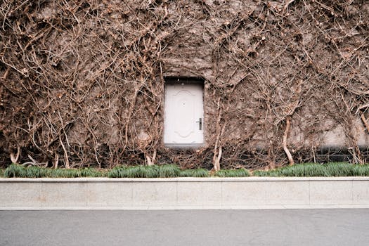 urban garden in the city