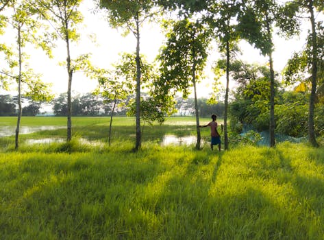 a lush city park with people enjoying the outdoors