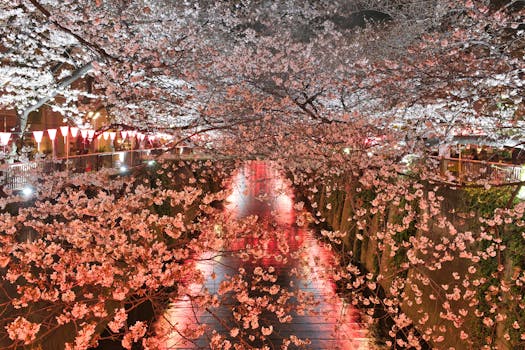 peaceful urban park