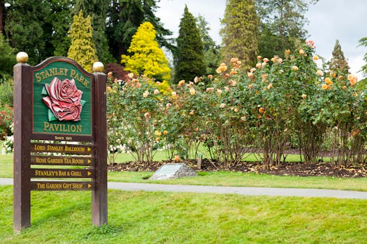 lush community garden in the city