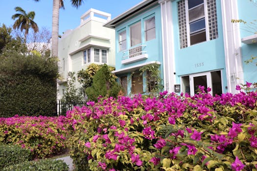 colorful urban garden on a balcony