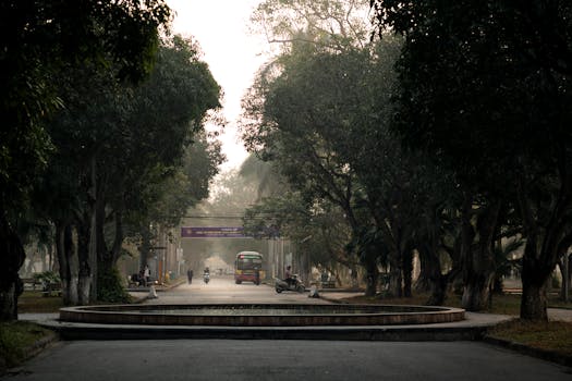 peaceful urban park with trees