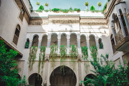 lush green balcony with shade-loving plants