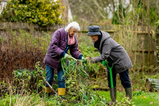 A community garden bustling with people gardening