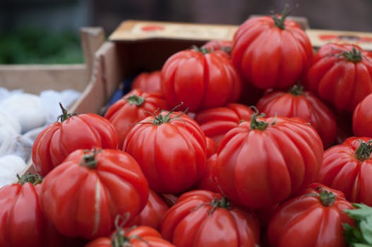 fresh tomatoes from the farmers’ market