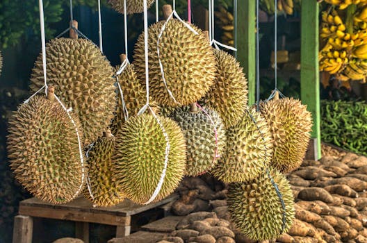 local market with fresh produce