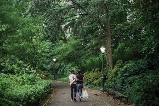 peaceful park with benches