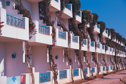 An urban garden balcony filled with colorful plants and herbs