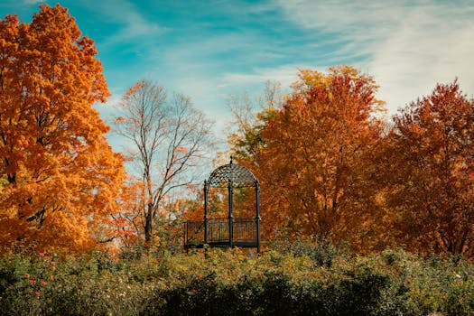 Peaceful park setting