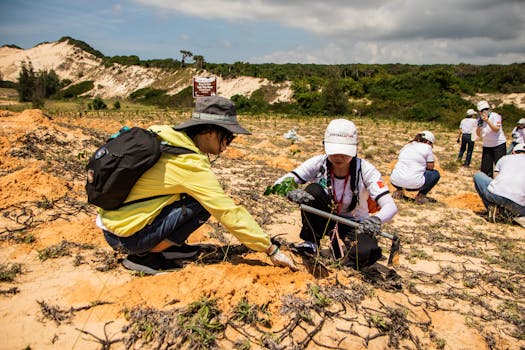 community volunteers planting trees