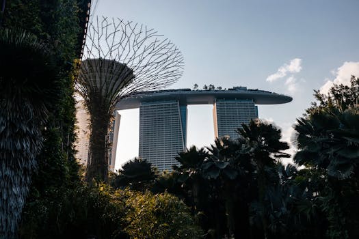 urban skyline with parks