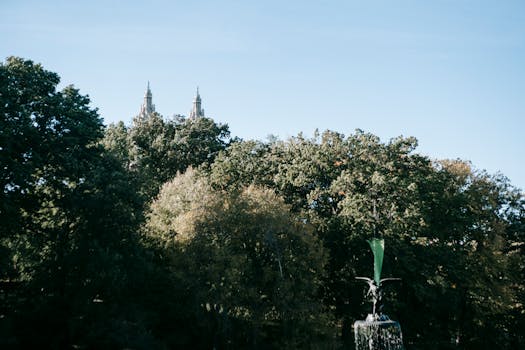 peaceful green park in the city